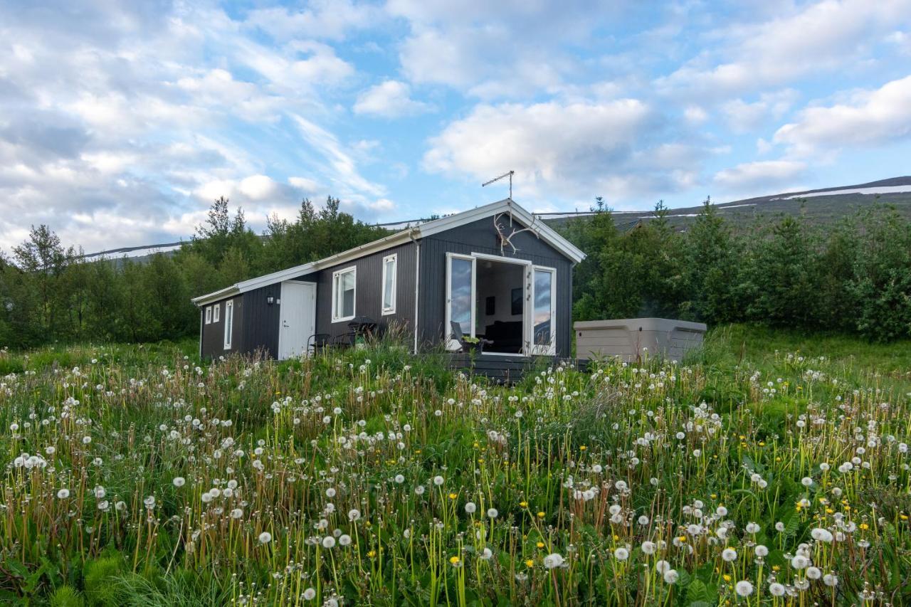 Viking Cottages & Apartments Akureyri Ngoại thất bức ảnh